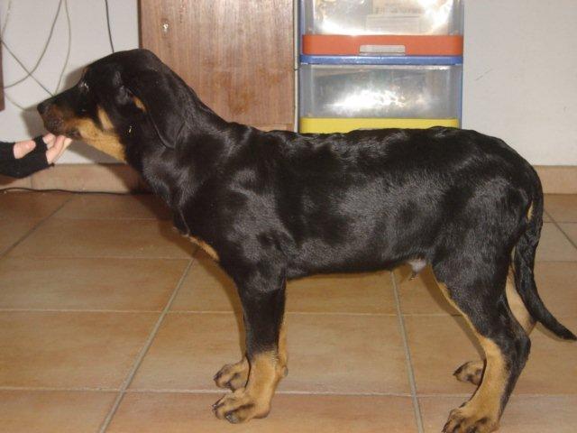 Photo 063